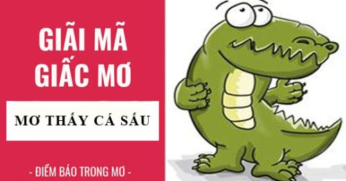 Mơ thấy cá sấu là điềm gì? Đánh con gì dễ trúng?