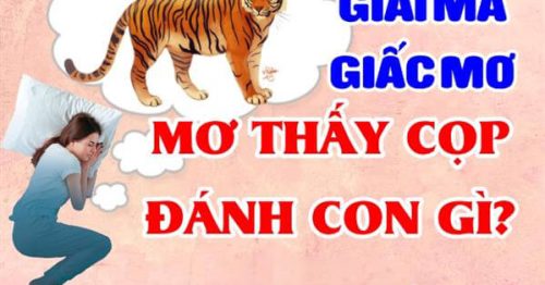 Nằm mơ thấy cọp là điềm gì? Mơ thấy cọp đánh con gì trúng lớn?