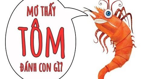 Mơ thấy tôm là điềm báo tốt hay xấu? Mơ thấy tôm đánh con gì