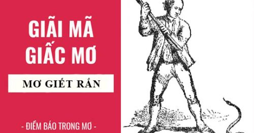 Nằm mơ thấy giết rắn là điềm báo gì? Là điềm lành hay dữ?