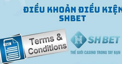 Điều Kiện Điều Khoản SHBET Mới Nhất Tân Thủ Cần Biết